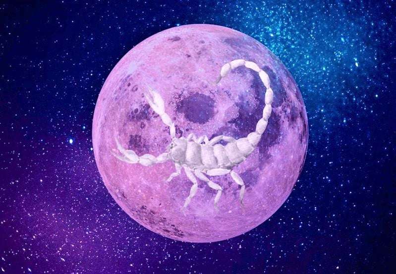 volle maan schorpioen