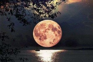 e2d717258f0c3762357ddc6267b49633